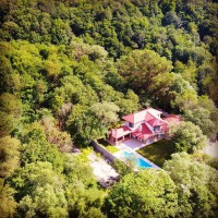 Parampa - House In The Forest